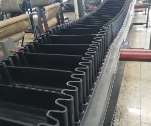 202010191914276156 202010191914276156